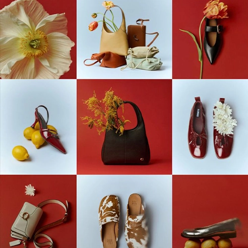 انتخاب کیف و کفش