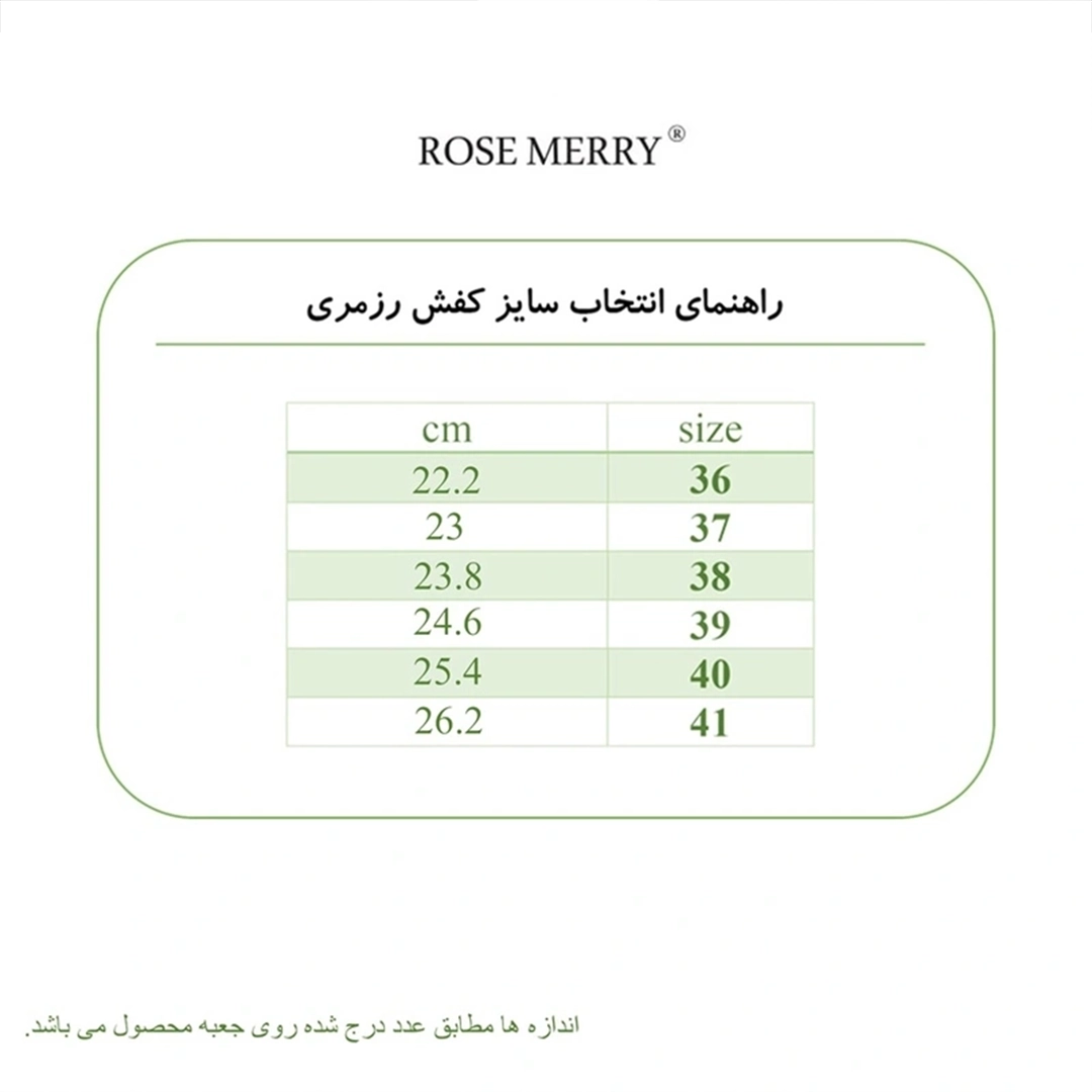 کفش کلاسیک زنانه رزمری مدل sh6020 - تصویر 8
